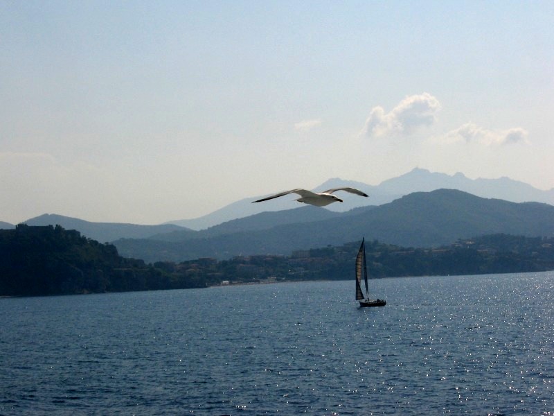 Isola d''Elba 2