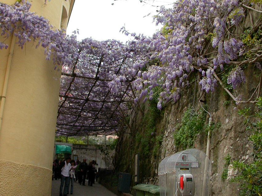 Penisola Sorrentina e Costiera Amalfitana