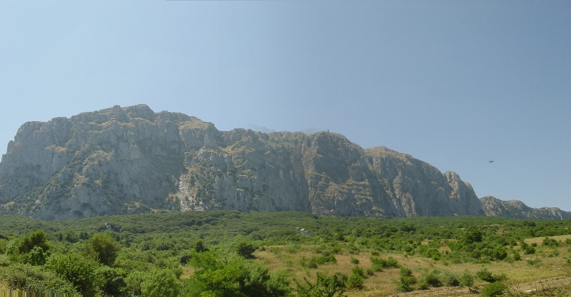 Il bosco della Ficuzza