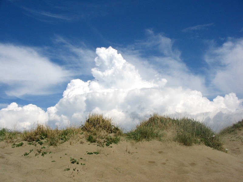 Le dune di Castel Porziano