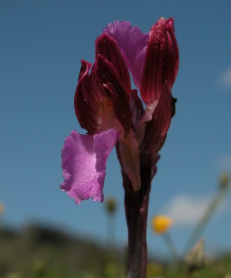 escursione 1 maggio