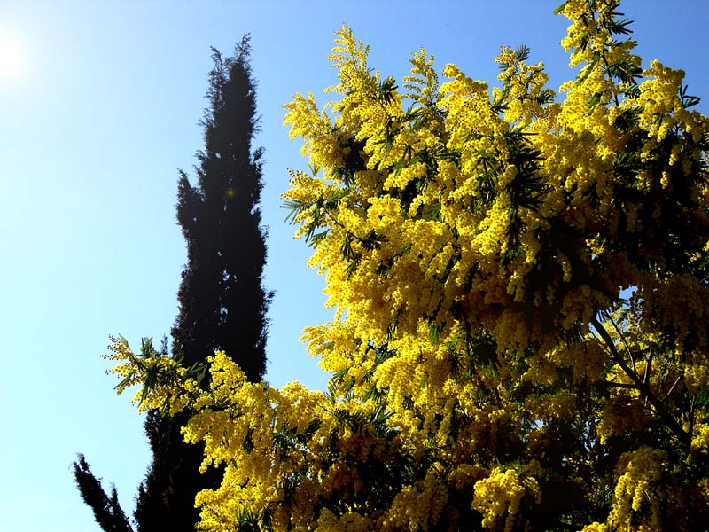 Colori di Sicilia