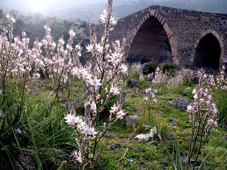 Colori di Sicilia