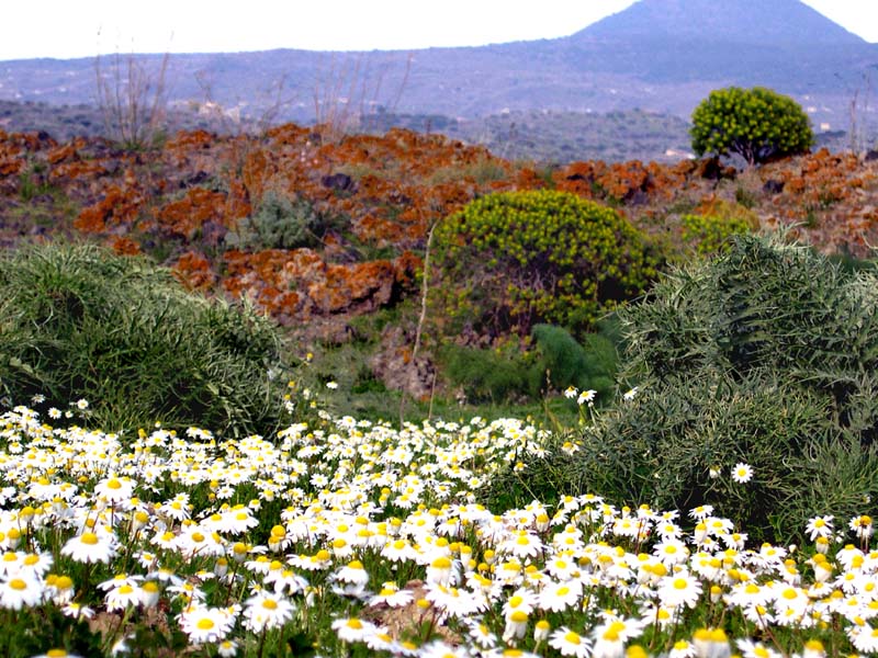 Colori di Sicilia