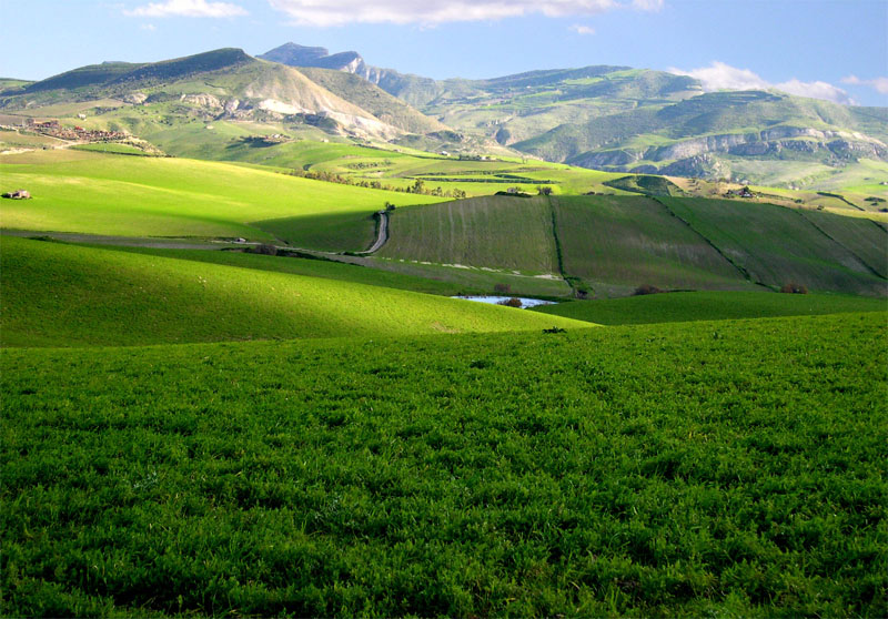 Colori di Sicilia