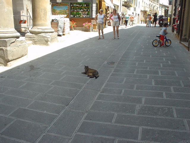 CASTIGLION DEL LAGO