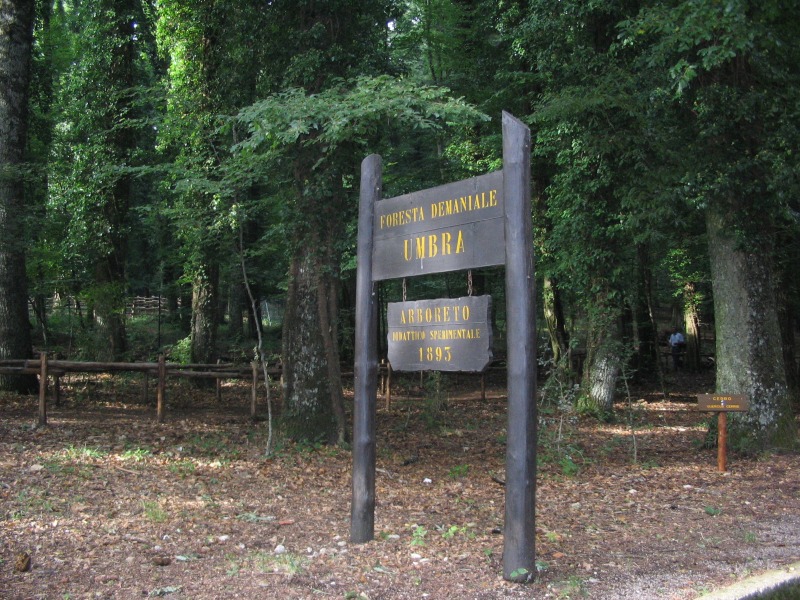 La foresta umbra - Parco Nazionale del Gargano