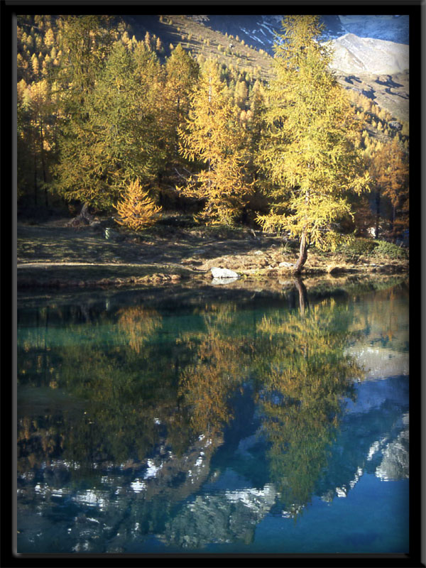 ...MONTE CERVINO.......parte settima....