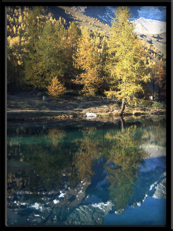 ...MONTE CERVINO.......parte settima....