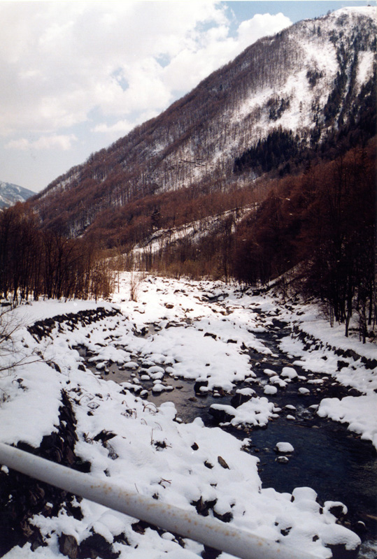 torrente cervo