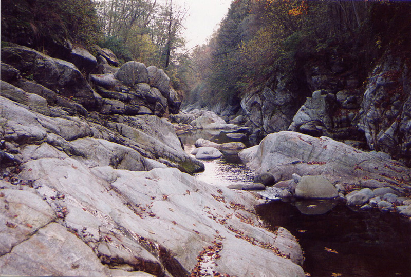 torrente cervo