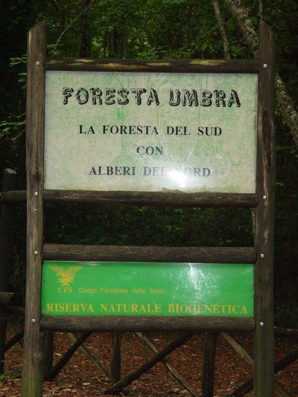 La foresta umbra - Parco Nazionale del Gargano