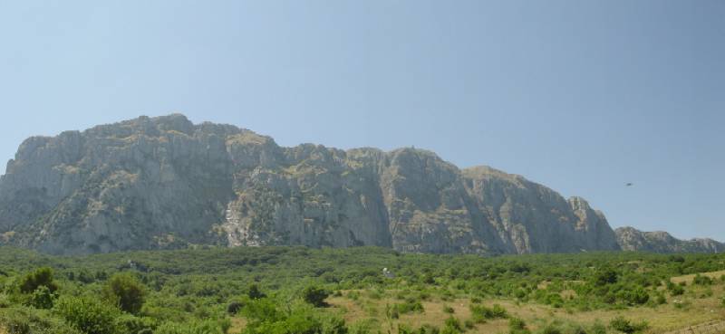 SIC Sicilia: Boschi Ficuzza e Cappelliere (Pa) (ITA020007)