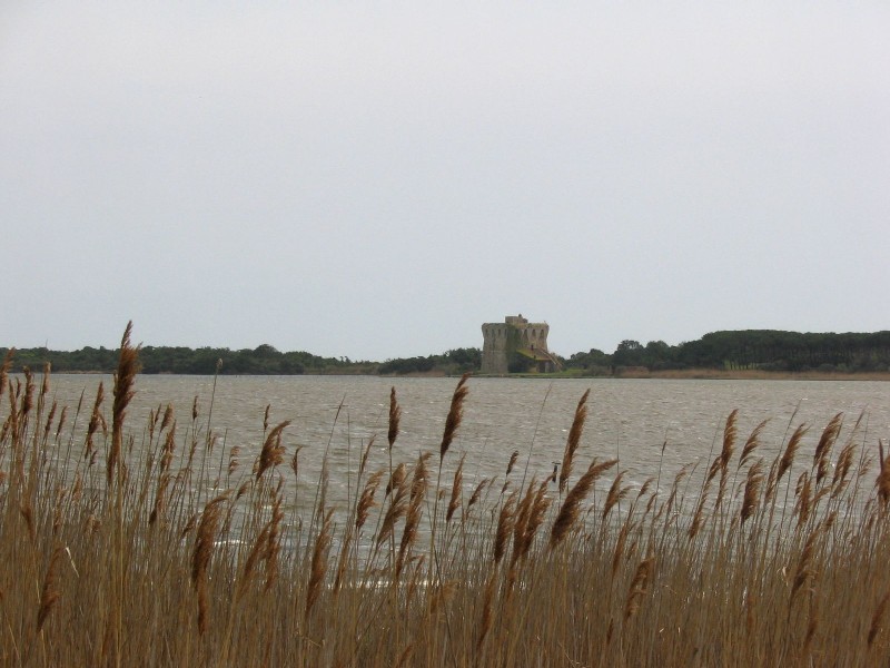 SIC Toscana: Lago di Burano (Gr) (IT51A0031)