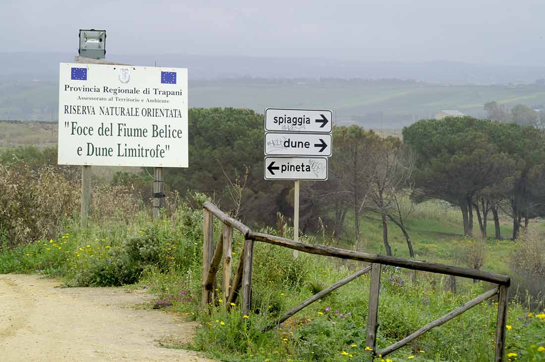 piante della riserva naturale a Marinella/Sicilia