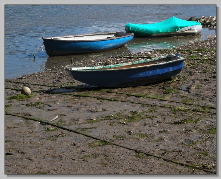 Cartolina dall''estuario