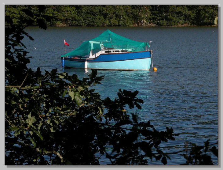 Cartolina dall''estuario