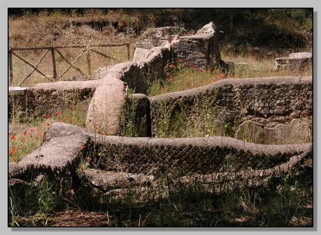 Ostia: la Villa di Plinio e la Via Severiana