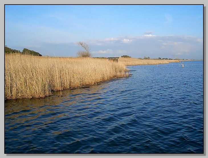 SIC Toscana: Lago di Burano (Gr) (IT51A0031)