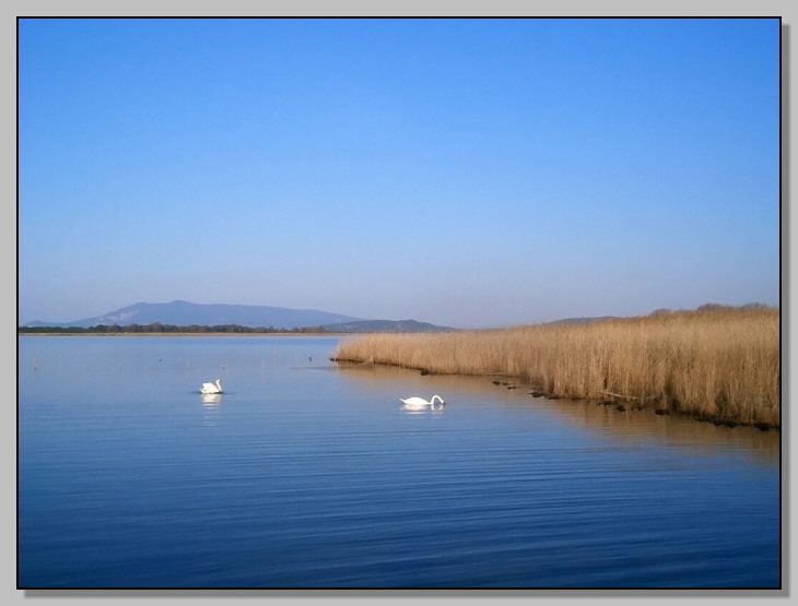 SIC Toscana: Lago di Burano (Gr) (IT51A0031)