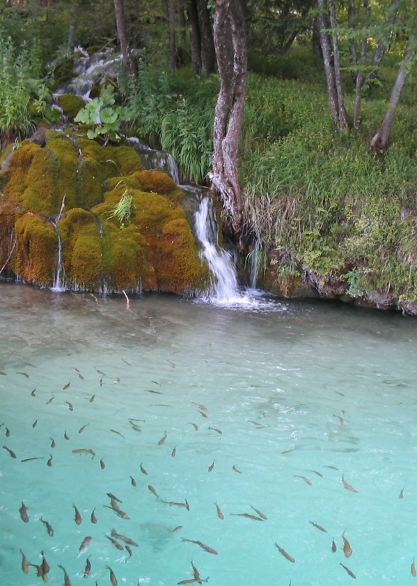 Plitvice - Croazia