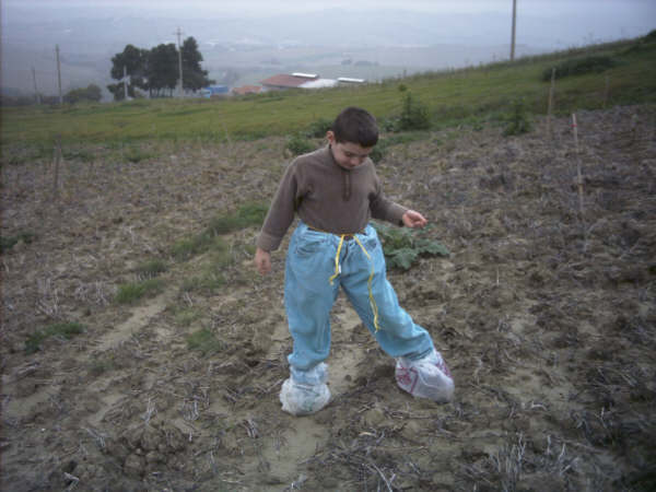 Oggi vado a fare le foto sul terreno...