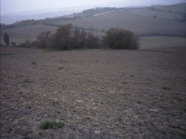 Oggi vado a fare le foto sul terreno...