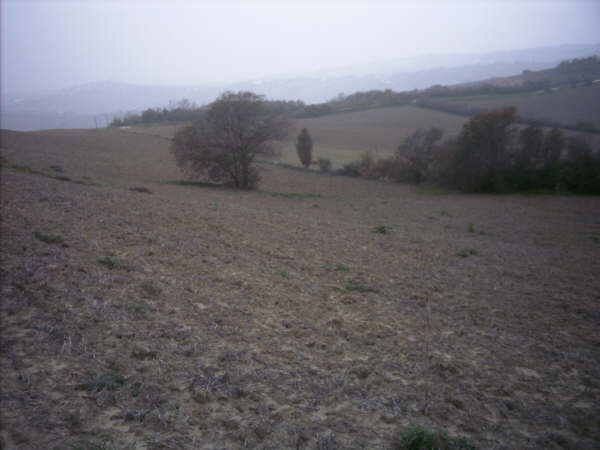 Oggi vado a fare le foto sul terreno...