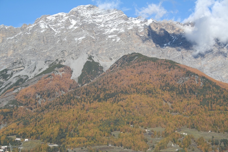 Alta Valtellina