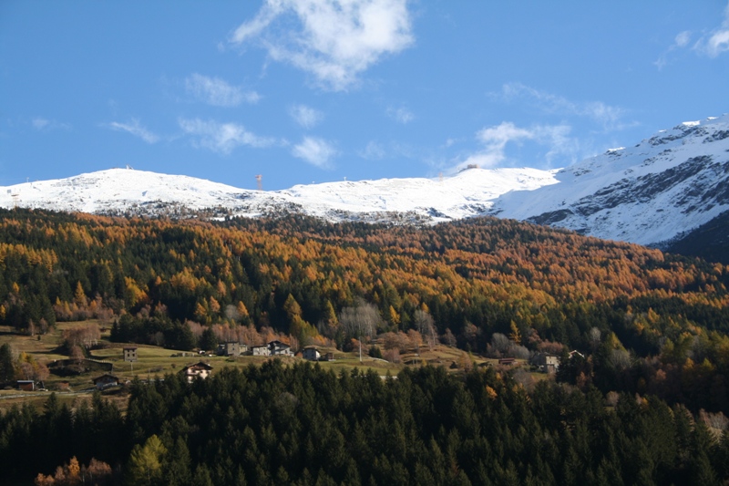 Alta Valtellina