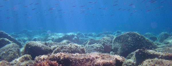 uno sguardo blu.......................verso il Garda