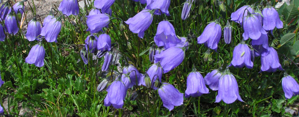 uno sguardo blu.......................verso il Garda