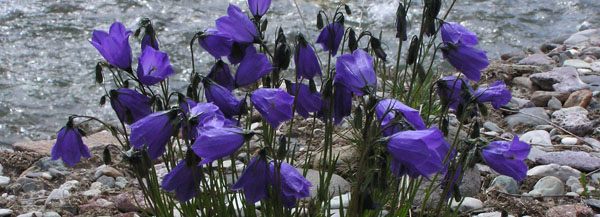 uno sguardo blu.......................verso il Garda