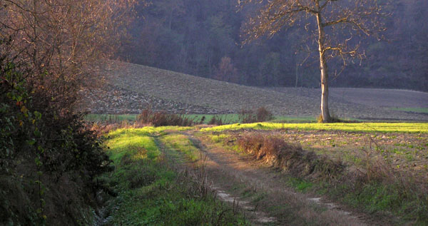 La stradina