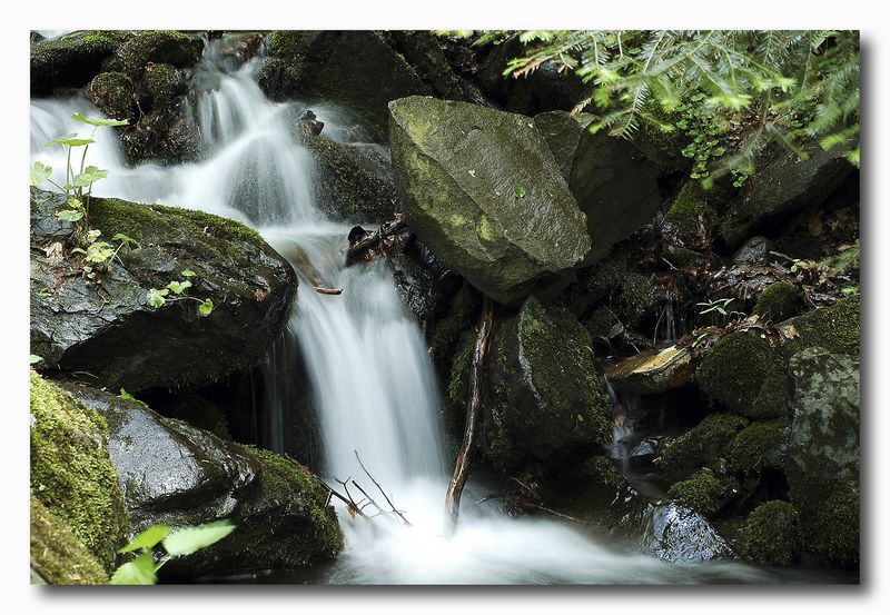 a Madonna dell''Acero (Bo)