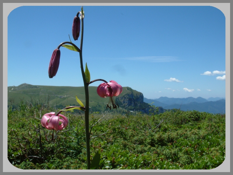 Montagne o laghi d''Italia?