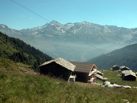 Foschia in Val S. Giacomo (Sondrio)