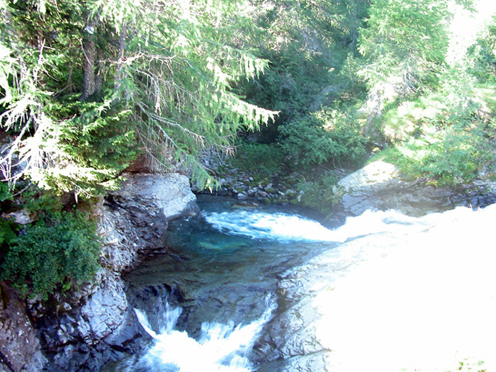 Torrente Febbraro