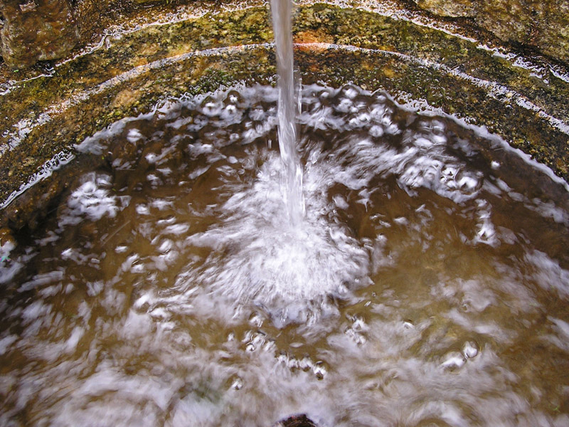 Acqua - catalizzatore per la vita