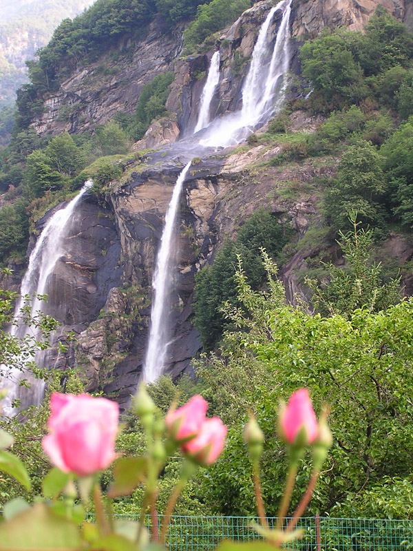 Acqua - catalizzatore per la vita