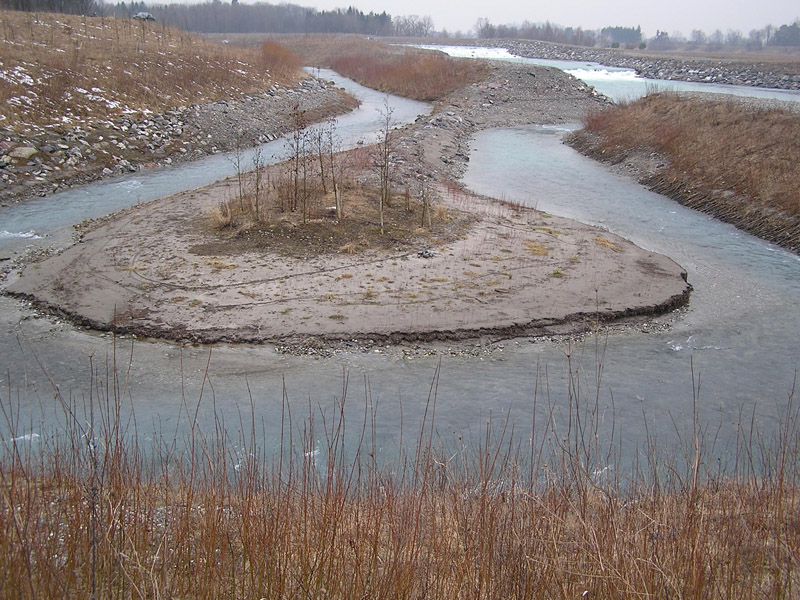 Acqua - catalizzatore per la vita