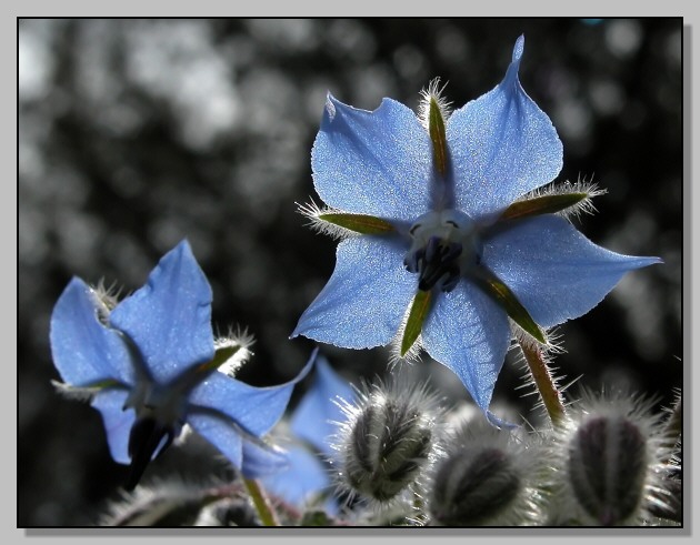 uno sguardo blu.......................verso il Garda