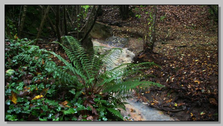 Riserva Naturale Regionale Monterano