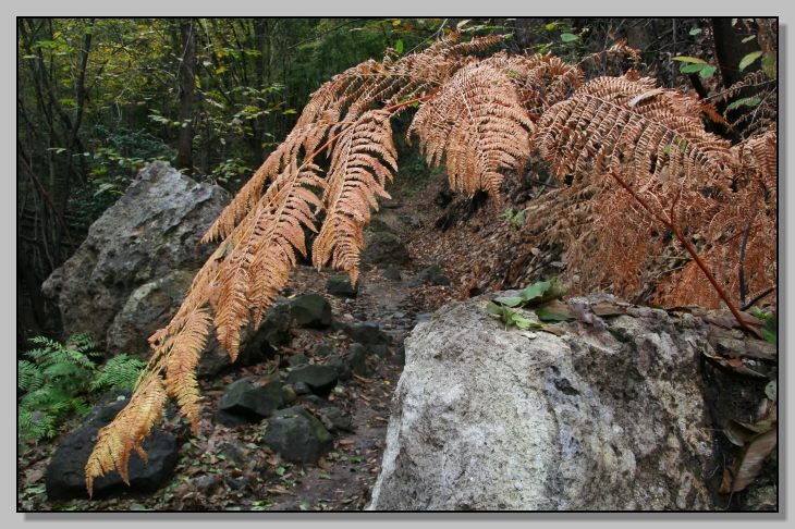 Riserva Naturale Regionale Monterano