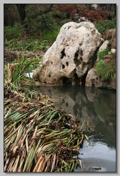 Riserva Naturale Regionale Monterano