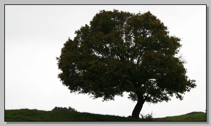 Riserva Naturale Regionale Monterano