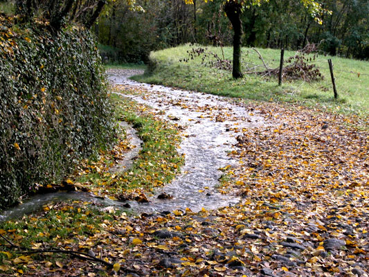 La stradina