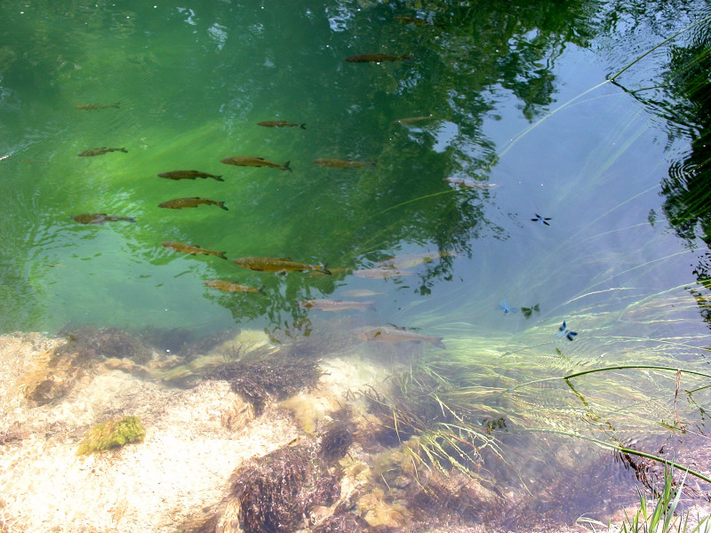 Parco nazionale Krka - Croazia