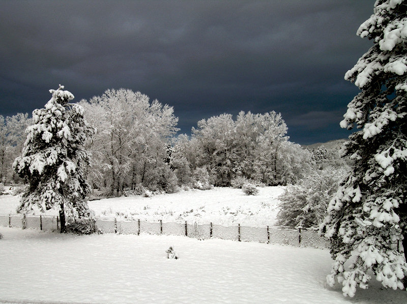 Segni di primavera