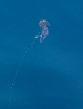 uno sguardo blu.......................verso il Garda